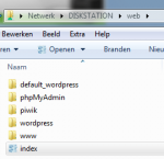 Print von Ordner WEB auf der DS.PNG