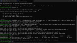 Docker Service startet nicht.jpg