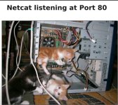 1000051192.jpg 1000051192.jpg