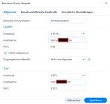 Reverse Proxy DS-2.jpg