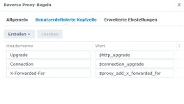 Reverse Proxy DS-3.jpg