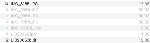 Bildschirmfoto 2026-01-21 um 13.20.01.png Bildschirmfoto 2026-01-21 um 13.20.01.png