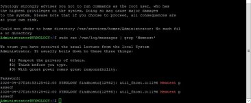 synology Terminal Ausgabe.jpg