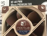 Noctua.jpg Noctua.jpg