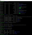 synossh.PNG synossh.PNG