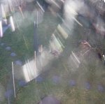 20200130100353-01.jpg 20200130100353-01.jpg