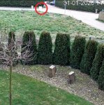 Verteilerkasten.jpg Verteilerkasten.jpg