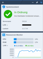 DS218+_LAN_Geschwindigkeit_Sync.png