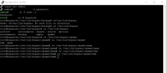 InkedSpam3_LI.jpg InkedSpam3_LI.jpg