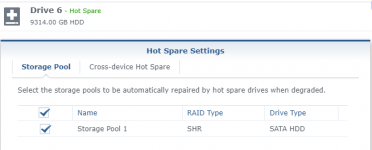 5 - hot spare disk.png