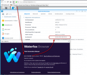 waterfox_ds916dsm.png