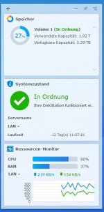 NAS DS216j Auslastung Drive Client 3.0.0.JPG NAS DS216j Auslastung Drive Client 3.0.0.JPG