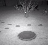 Screenshot_20210713-102334~(1).jpg Screenshot_20210713-102334~(1).jpg