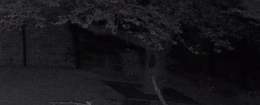 Screenshot_20210713-103554_F-Stop.jpg Screenshot_20210713-103554_F-Stop.jpg