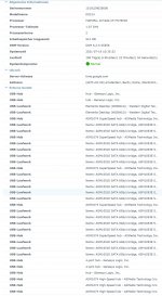 synol dsm.JPG synol dsm.JPG