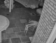 Hikvison $K Nacht_Ausschnitt.jpg