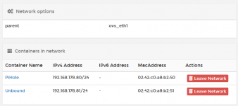 Einstellunge Portainer_Netzwerk-02.PNG Einstellunge Portainer_Netzwerk-02.PNG