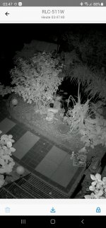 Screenshot_20210907-034758_DS cam.jpg