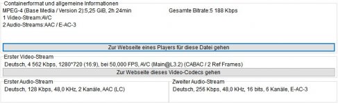 Mediainfo MP4-Datei.jpg