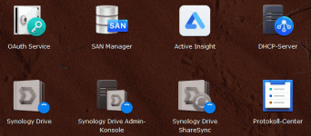 Fehler Synology Drive-3.gif