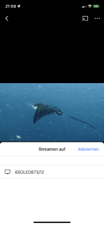 8FA8E1CD-994E-4468-BB7D-CD9FFBA98683.png 8FA8E1CD-994E-4468-BB7D-CD9FFBA98683.png