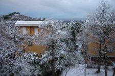 04AB0332-99B1-4C02-9D01-67CDAD8A02BD.jpeg 04AB0332-99B1-4C02-9D01-67CDAD8A02BD.jpeg