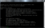 ifconfig.PNG