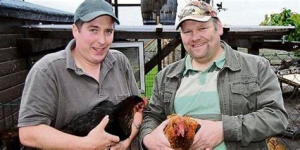 1674252487148.png 1674252487148.png