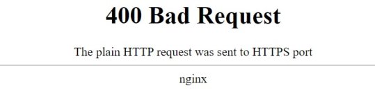 nginx.jpg