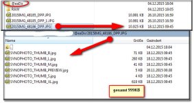 tn_groessen_syn.jpg tn_groessen_syn.jpg