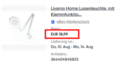ebay_Lupenleuchte.png ebay_Lupenleuchte.png
