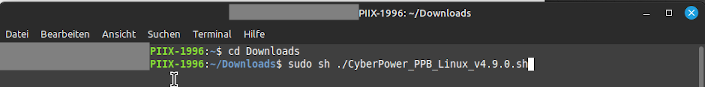 Proxmox_MintVM_CyperPower_PPB_Install.png