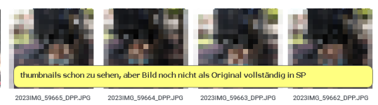 sp_bild_noch_nicht_fertig_indiziert2.png sp_bild_noch_nicht_fertig_indiziert2.png