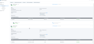 Speicherpool SSD und NVME DS1621xs+ nach Wiederherstellung.png