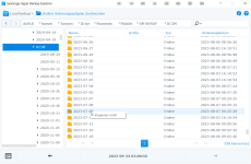 2023-09-24 19_58_22-Synology Hyper Backup Explorer.png