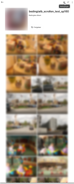 sp_update_1_6_0_ds218plus_bedingtalbumscrollen.png sp_update_1_6_0_ds218plus_bedingtalbumscrollen.png