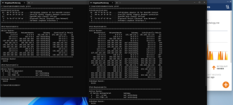 Print Route ohne und mit VPN.png