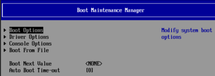 DS_VM_UEFI_Boot.png DS_VM_UEFI_Boot.png