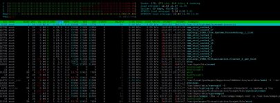htop.jpg