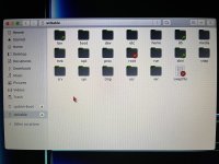 IMG_5291.jpeg IMG_5291.jpeg