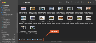 SCR-20240111-qwul.png SCR-20240111-qwul.png