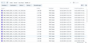 Bildschirmfoto 2024-02-23 um 19.29.24.png