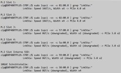 IMG_0843.jpeg IMG_0843.jpeg