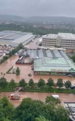 IMG_9205.jpeg IMG_9205.jpeg