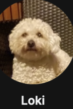 Bildschirmfoto 2024-05-24 um 22.35.30.png Bildschirmfoto 2024-05-24 um 22.35.30.png