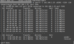 Proxmox_MintVM_DS720_1G.png Proxmox_MintVM_DS720_1G.png