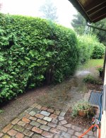 IMG_8481.jpeg IMG_8481.jpeg