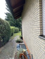 IMG_8559.jpeg IMG_8559.jpeg