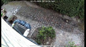 IMG_8561.jpeg IMG_8561.jpeg