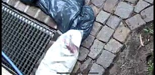 IMG_8562.jpeg IMG_8562.jpeg